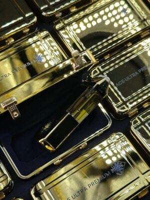 Ace Ultra Premium Gold Edition luxury briefcase display with gold bars